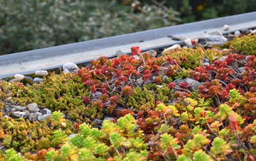 the cost of West Langwell green roof installation