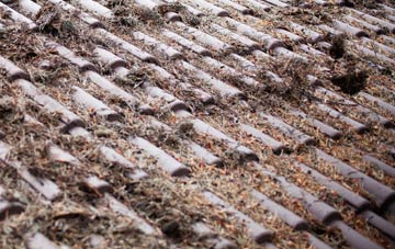 West Langwell roof cleaning companies