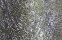 West Langwell fibreglass roof work